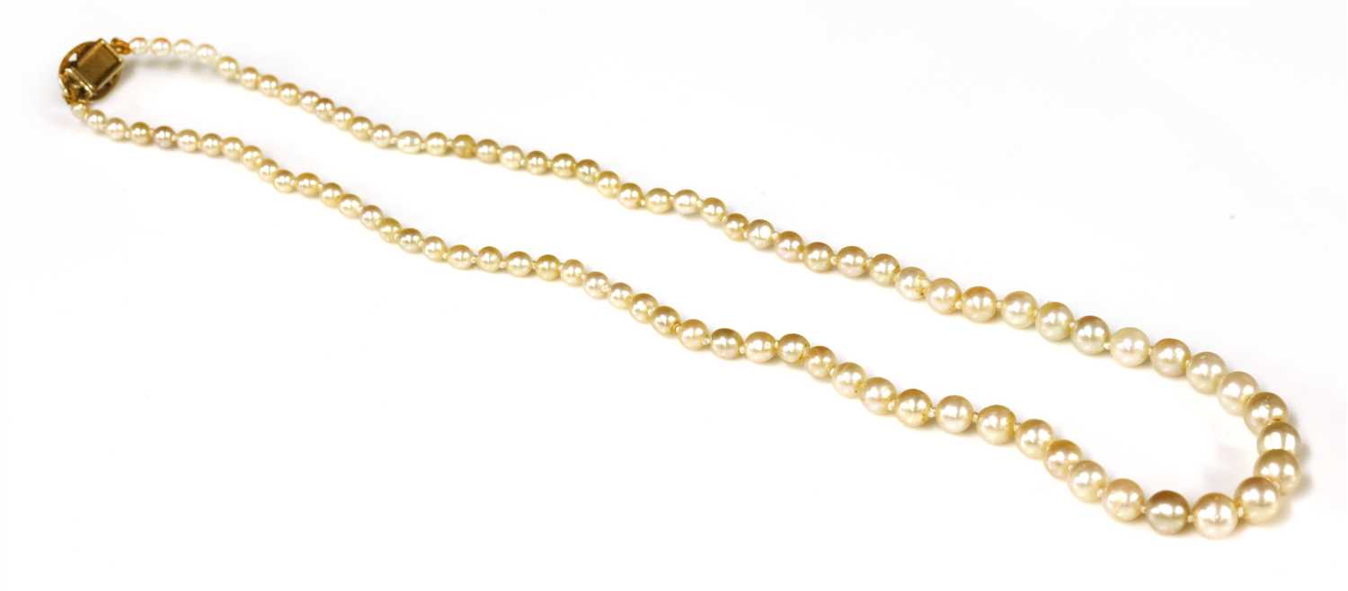 A single row uniform pearl necklace with a diamond set box clasp, - Image 2 of 2
