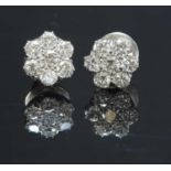 A pair of white gold diamond set daisy cluster earrings,