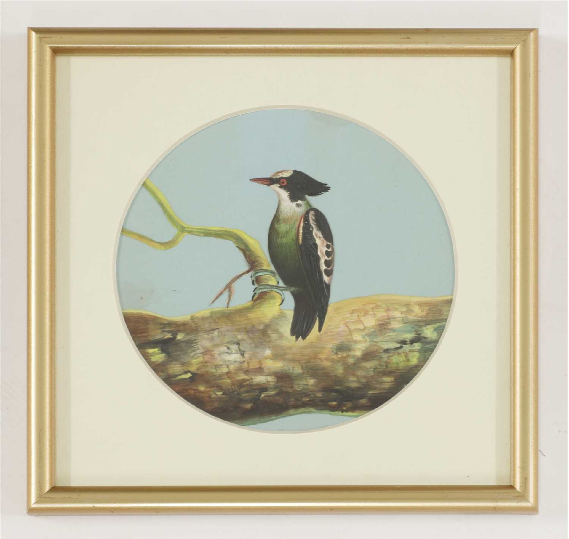 Eight circular paintings on mica of Indian birds, - Image 7 of 17