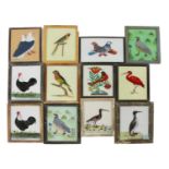 Indian reverse glass paintings of birds,
