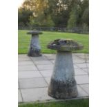 A pair of staddle stones,