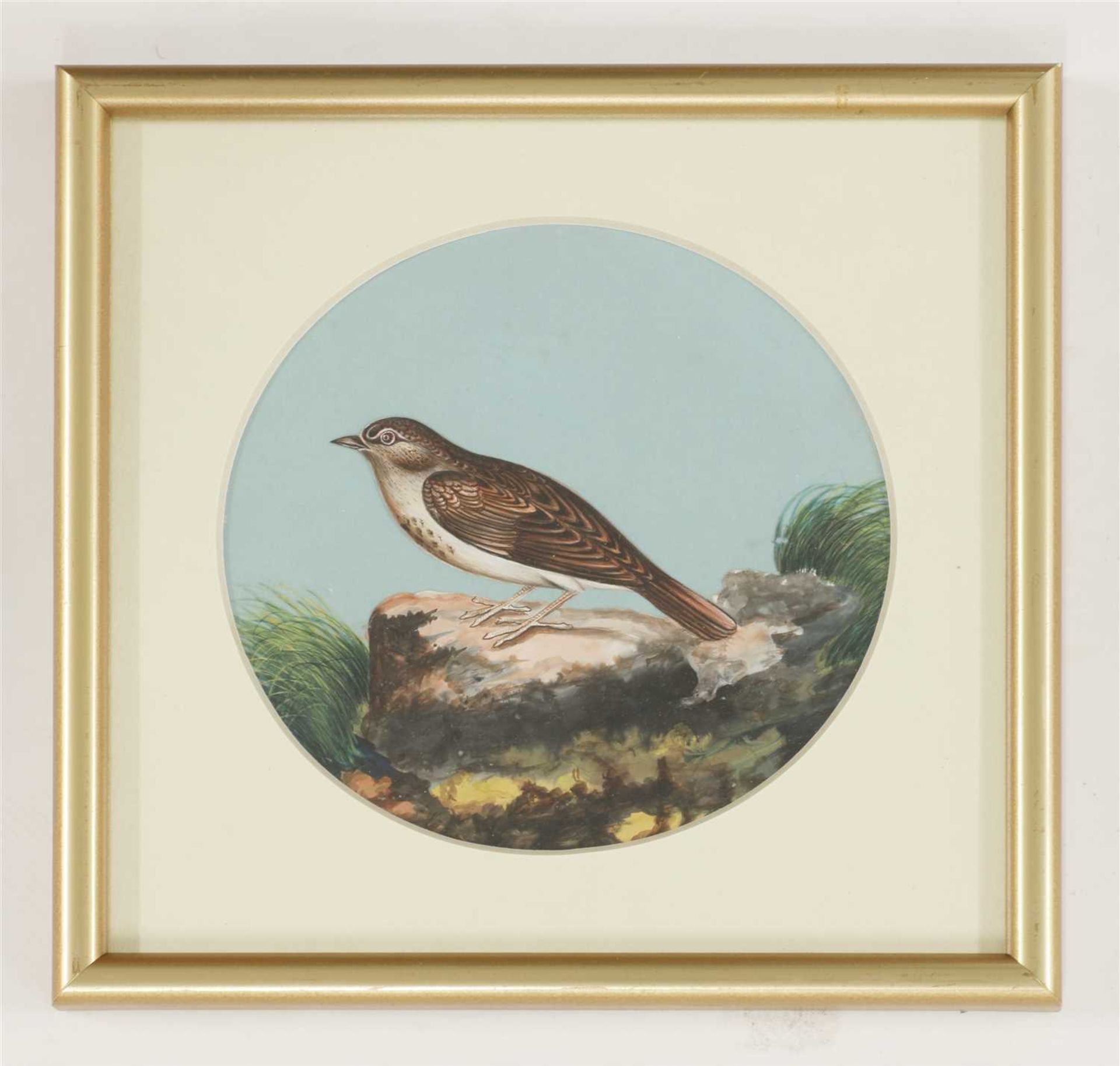 Eight circular paintings on mica of Indian birds, - Image 4 of 17