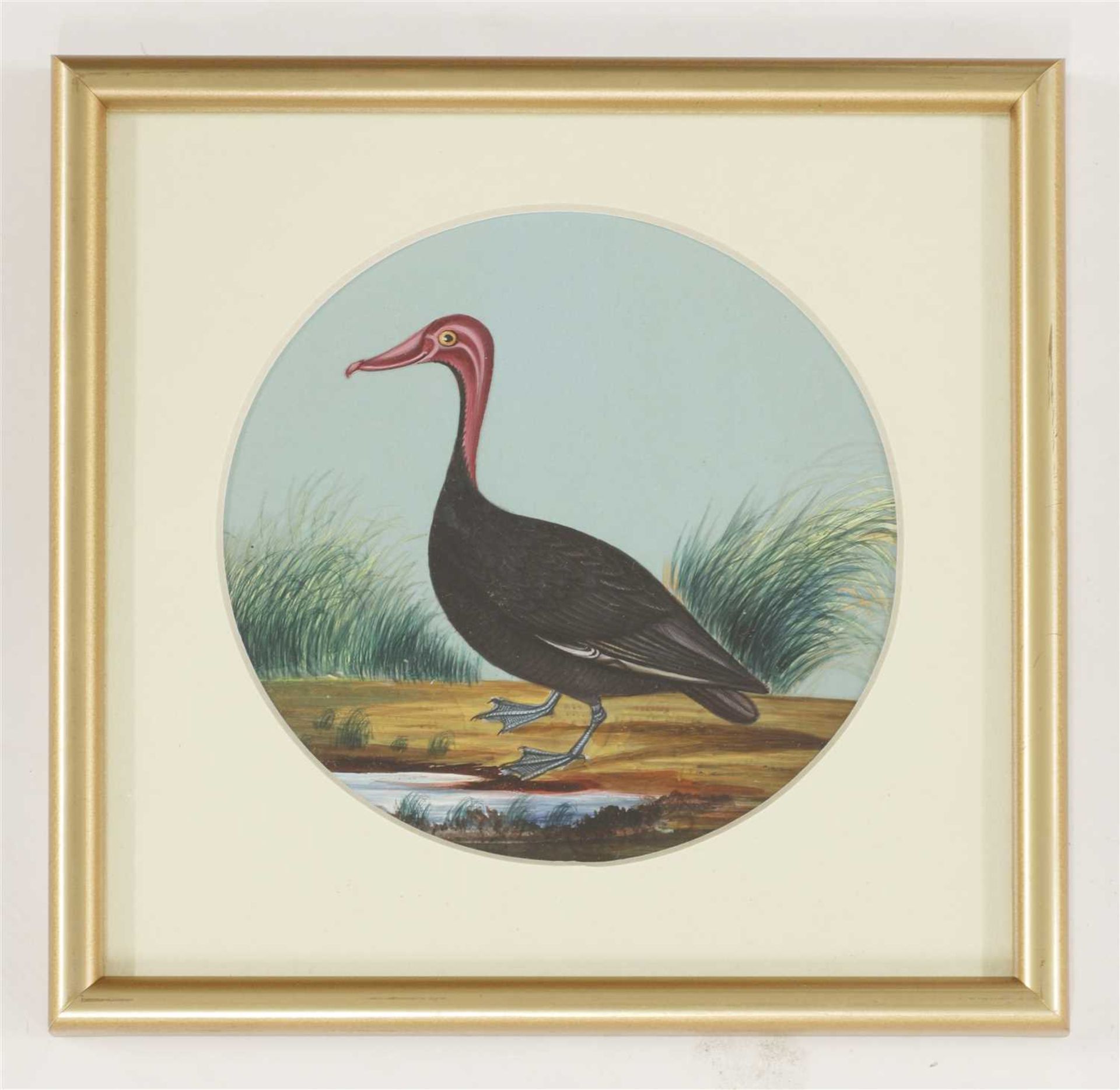 Eight circular paintings on mica of Indian birds, - Image 8 of 17