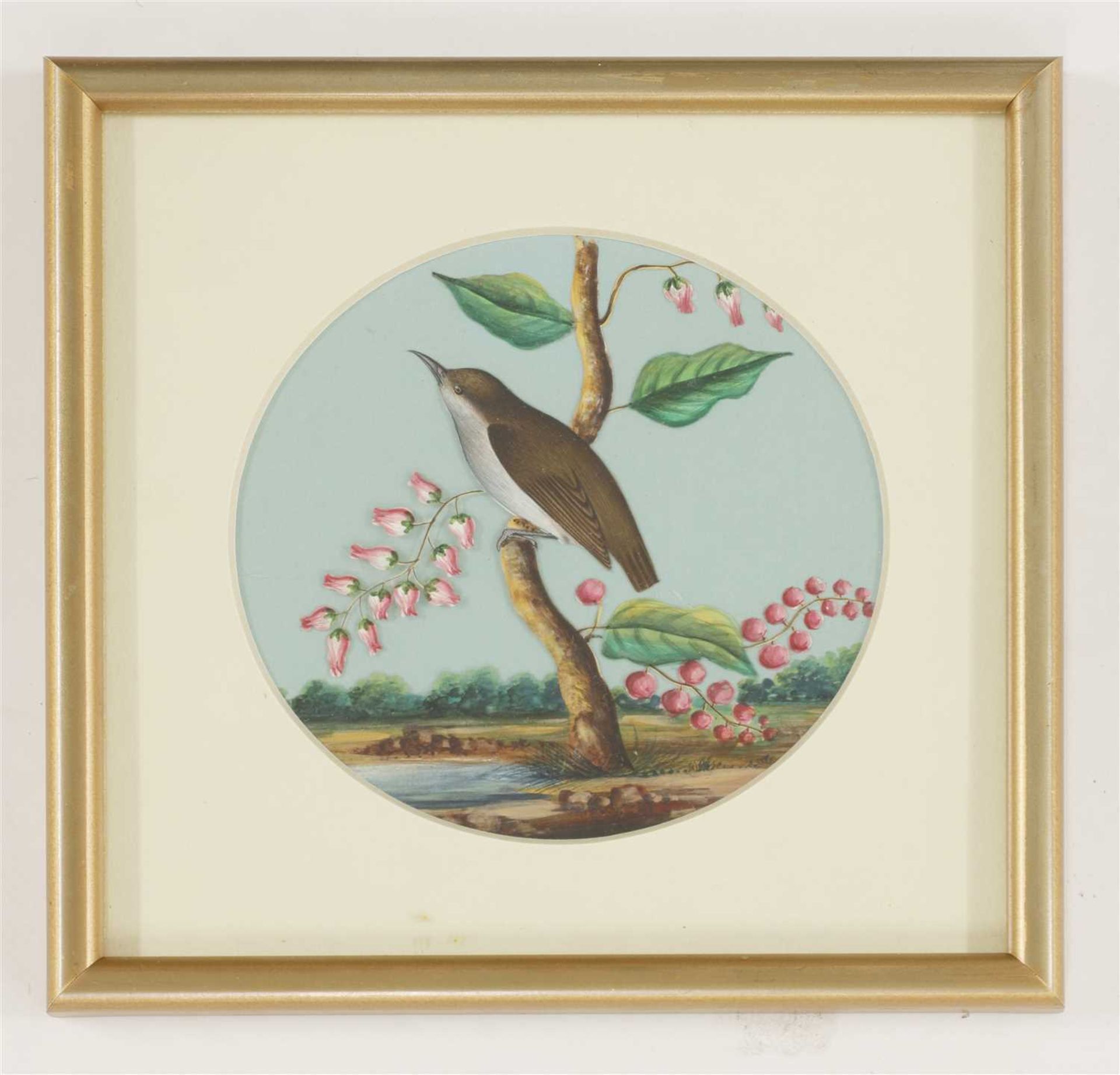 Eight circular paintings on mica of Indian birds, - Image 6 of 17