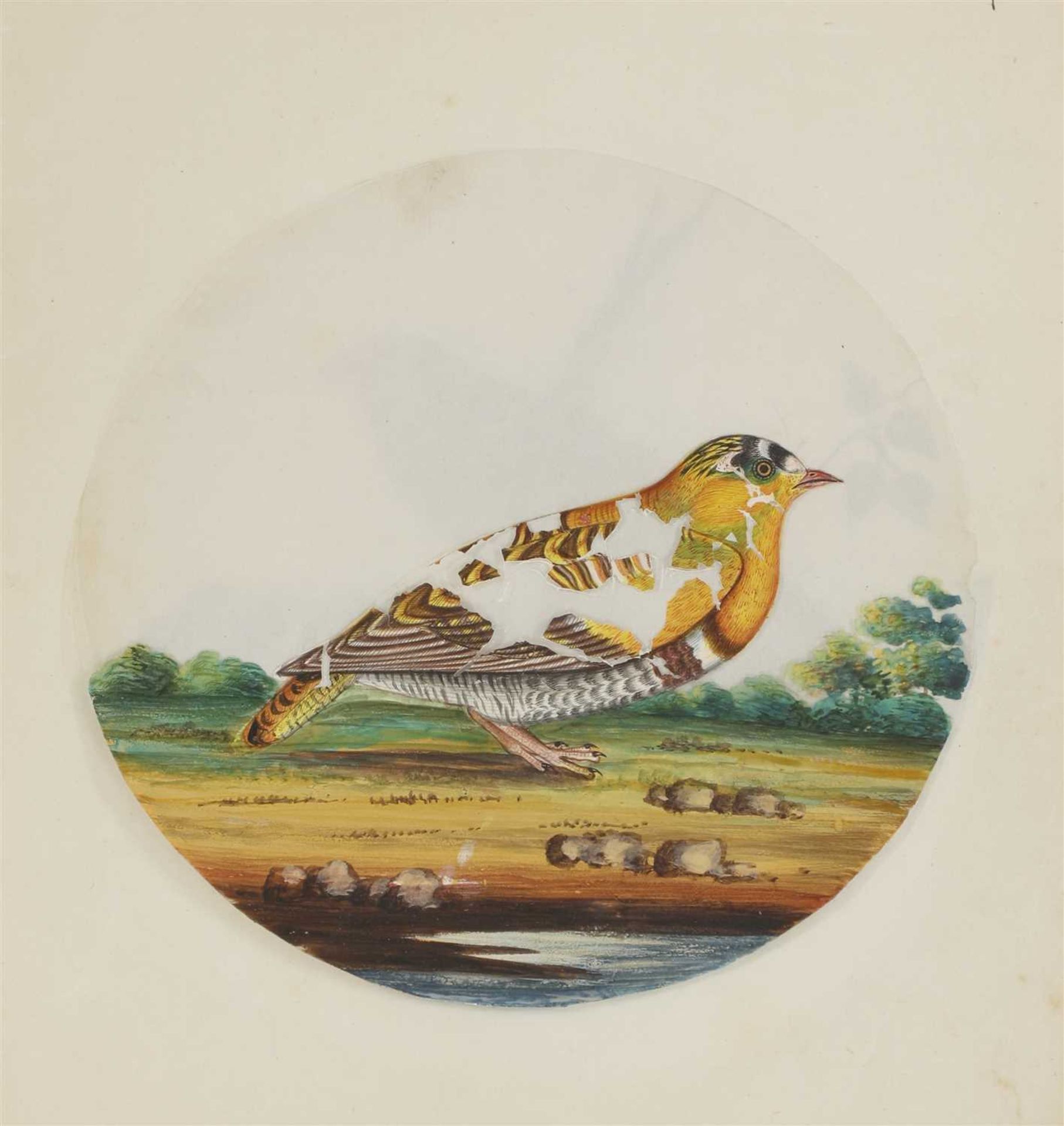 Eight circular paintings on mica of Indian birds, - Image 16 of 17