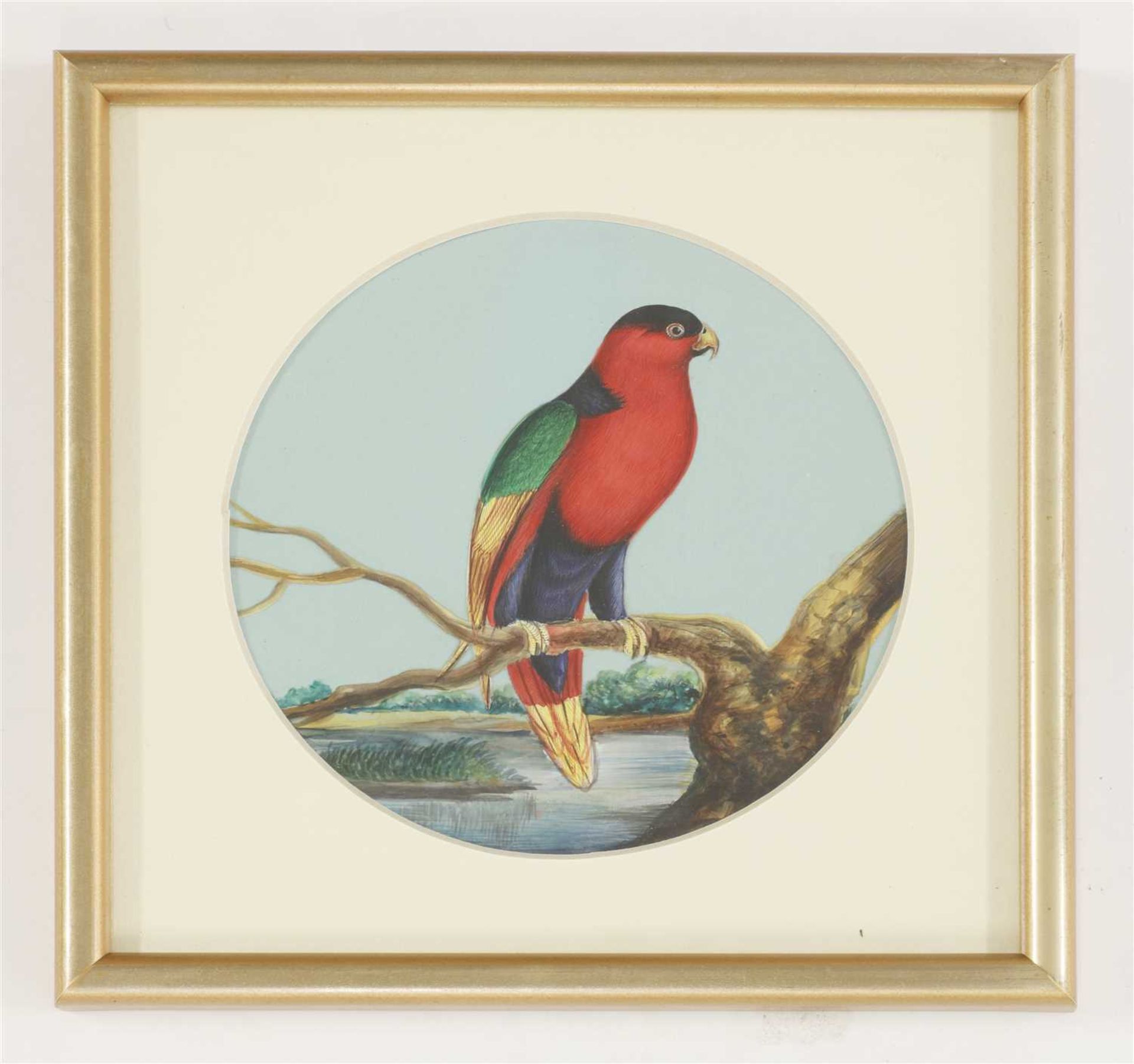 Eight circular paintings on mica of Indian birds, - Image 3 of 17