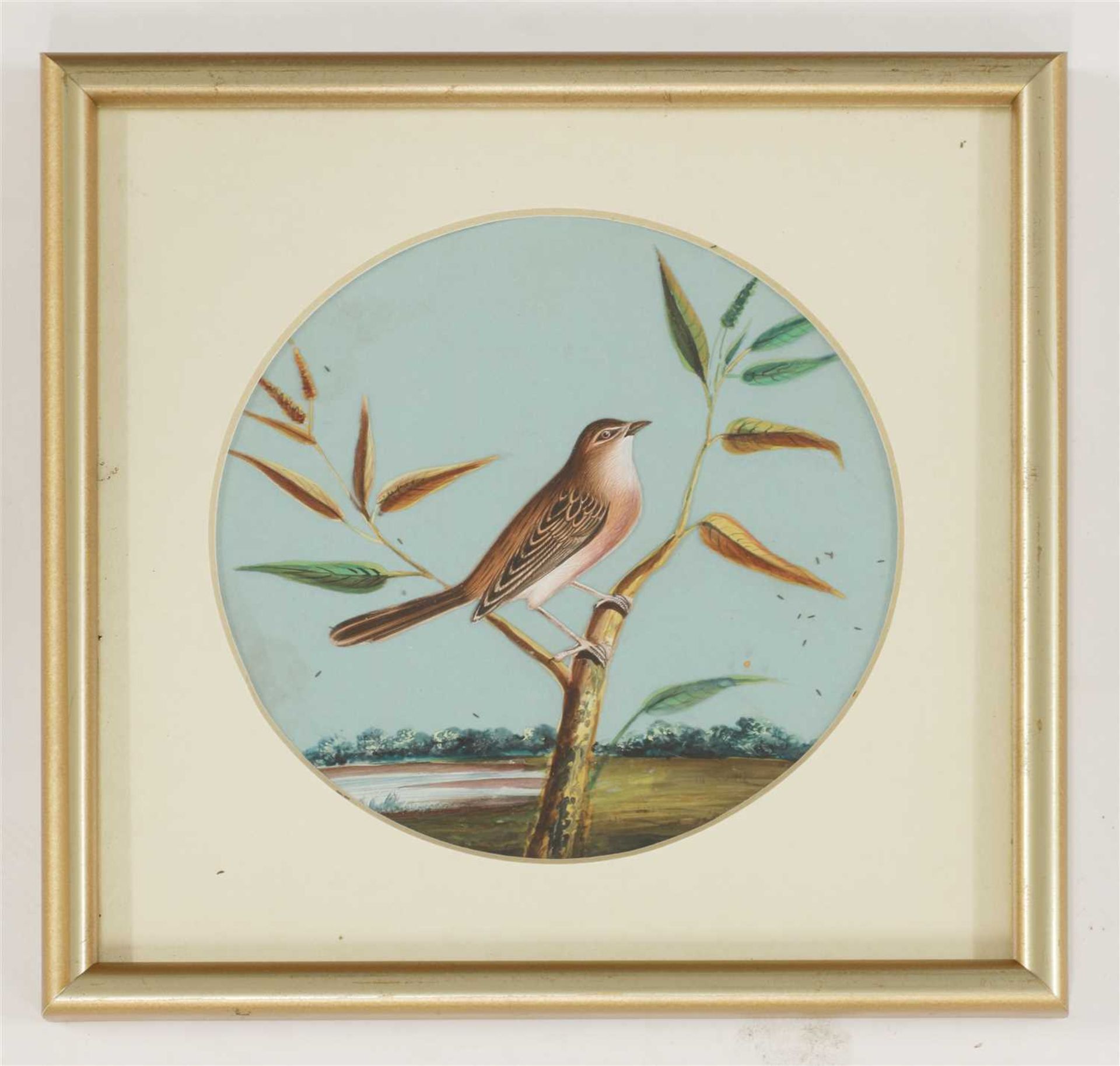 Eight circular paintings on mica of Indian birds, - Image 2 of 17