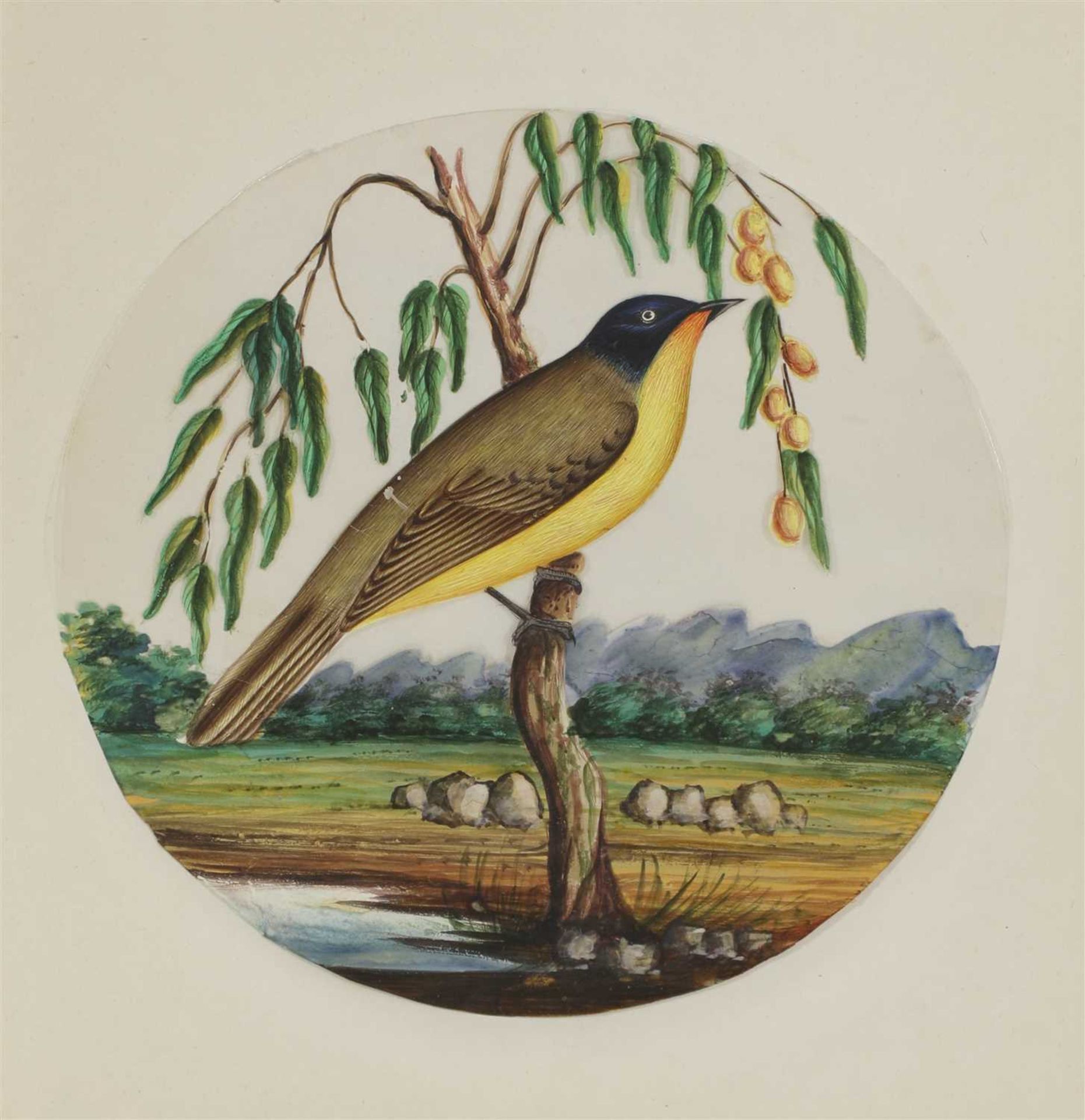 Eight circular paintings on mica of Indian birds, - Image 10 of 17