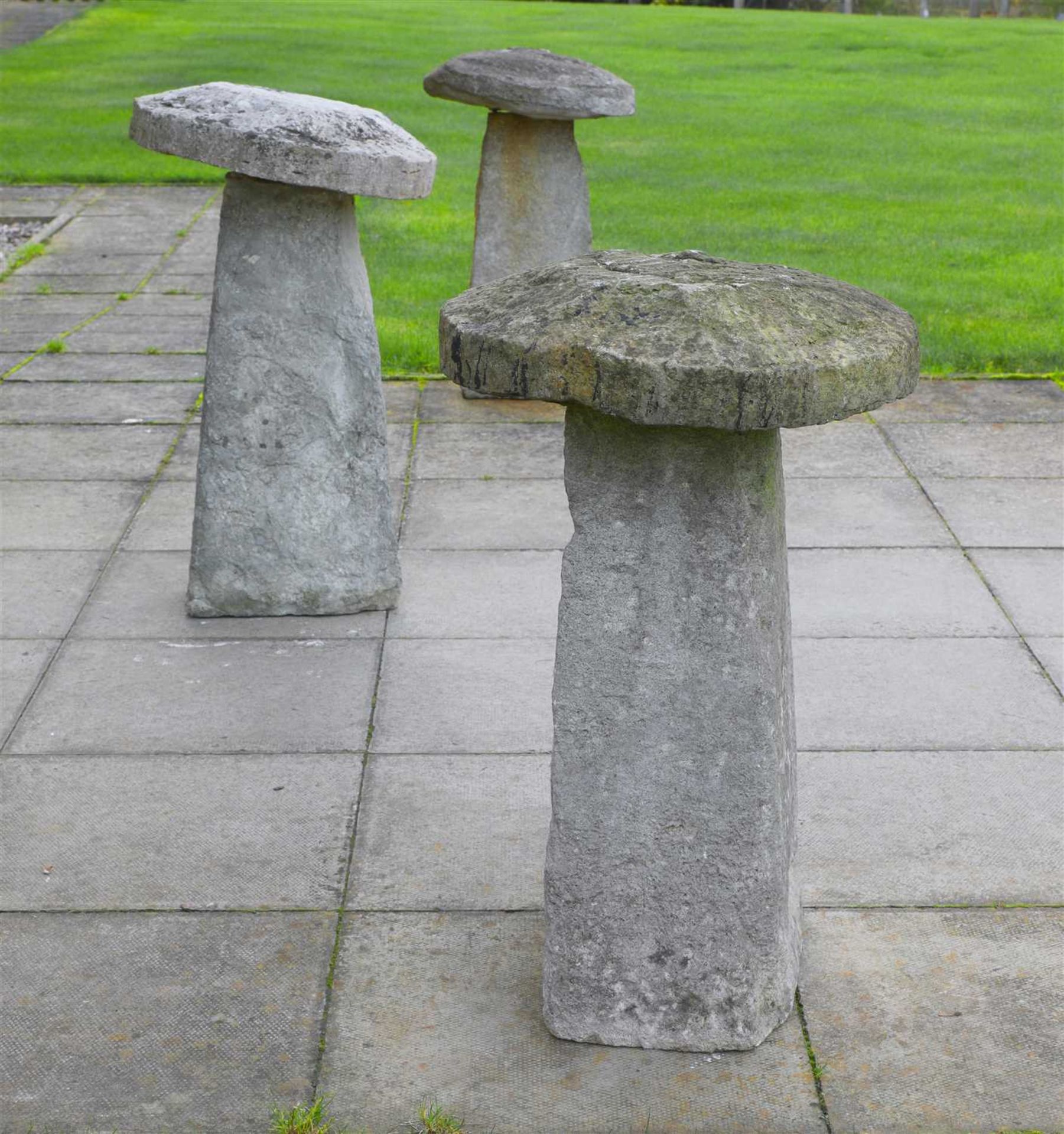 Three staddle stones,