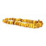 A single row graduated tumbled amber bead necklace,