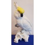 A large Crown Staffordshire Fine Bone China model of a cockatoo, designed and modelled by J.T.