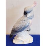 A Crown Staffordshire Fine Bone China model of a cockatoo designed and modelled by J.T.