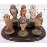 Six Royal Doulton Owls on a wooden base