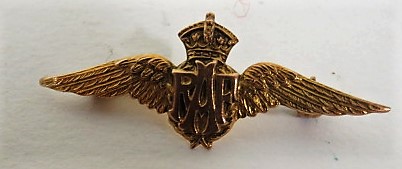 A marked 9ct gold RAF wings brooch with a metal pin, weight 2.6g