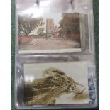 Collection of over fifty postcards of topographical views relating to Taunton, Middlezoy,