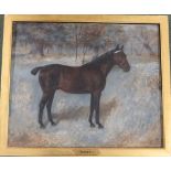 Margaret Wynn - oil on canvas of a horse, signed and dated, 1909, framed, 51cm x 62cm