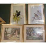 After Vernon Ward, two prints of birds, together with a quantity of prints