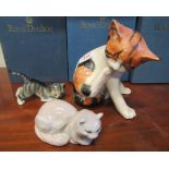 Winstanley tortoiseshell cat (AF) together with a Persian cat and grey tabby kitten