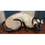 Seneshall Siamese cat (no. 43)