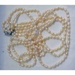 TRIPLE STRAND CULTURED PEARL NECKLACE