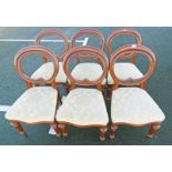 SET OF 6 LATE 19TH CENTURY MAHOGANY BALLOON BACK DINING CHAIRS ON TURNED SUPPORTS