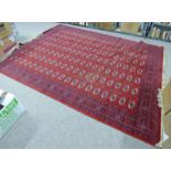MIDDLE EASTERN RED GROUND CARPET 270 X 350CM