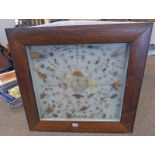 LATE 19TH CENTURY ROSEWOOD FRAMED MOUNTED SPIDERS, BUTTERFLYS,