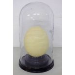 19TH CENTURY GLASS DOME ON STAND WITH OSTRICH EGG 32CM TALL