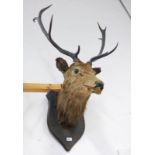 9 POINT STAGS HEAD ON SHIELD