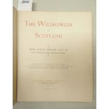 THE WILDFOWLER IN SCOTLAND BY JOHN GUILLE MILLAIS HALF LEATHER VELLUM BOUND - 1901