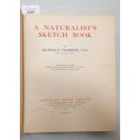 A NATURALISTS SKETCH BOOK BY ARCHIBALD THORBURN - 1919 Condition Report: Red cloth