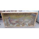 CASED TAXIDERMY DISPLAY OF GAME BIRDS TO INCLUDE A GROUSE, PHEASANT ETC 45 X 93 X 17.