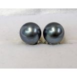 PAIR OF BLACK CULTURED PEARL EARRINGS MARK 750