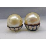 PAIR OF CULTURED PEARL EARRINGS