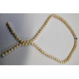 CULTURED PEARL NECKLACE BY THE PEARL COMPANY OF 80 PEARLS IN CLASP MARKED 925