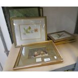 FRAMED COLOURED BAXTER PRINT FRUIT NO 1 AFTER LANCE,