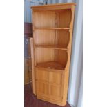 ERCOL CORNER CABINET WITH SHELVED TOP & PANEL DOOR BELOW