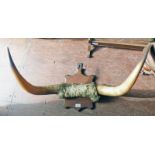 BULL HORN PLAQUE 84CM ACROSS