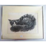 FRAMED LITHOGRAPH 'ANGRY MOG' 2/6, SIGNED AND DATED 1978,