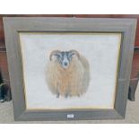 FRAMED PASTEL DRAWING OF A SHEEP,