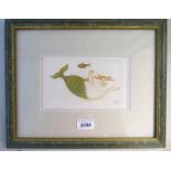 FRAMED LINOCUT PRINT 'CATFISH' 19/20, SIGNED,