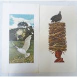 LARGE SELECTION OF MOSTLY UNSIGNED LINOCUTS TO INCLUDE 'SEAGULL' 15/30 SIGNED & 'GUINEA WOOD' 1/18