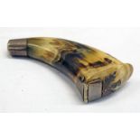 19TH CENTURY COW HORN SNUFF MULL - 14CM LONG