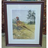 FRAMED LIMITED EDITION PRINT OF A PHEASANT BY EDWIN PENNY, 223/250,