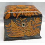 19TH CENTURY MAUCHLINE WARE TEA CADDY WITH DUNKELD CATHEDRAL & DECORATED WITH FERNS,