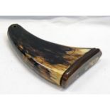 19TH CENTURY COW HORN SNUFF MULL - 15CM LONG