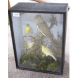 VICTORIAN CASED TAXIDERMY DIORAMA BY TAXIDERMIST T E GUNN, 86 ST.