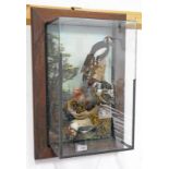 WALL MOUNTED CASED TAXIDERMY STUDY OF A FAMILY OF GREAT-SPOTTED WOOD PECKERS, CIRCA 1979,