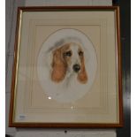 Nikki Solone, portrait of Bassett Hound, pastel, 28cm by 35cm