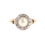 A Pearl and Diamond Cluster Ring, a single pearl within a border of rose cut diamonds, to notched